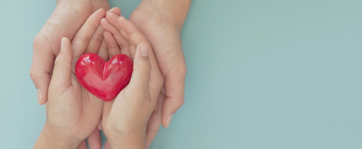hands holding red heart, health care, love, organ donation, mindfulness, wellbeing, family insurance and CSR concept, world heart day, world health day, National Organ Donor Day