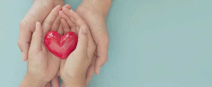 hands holding red heart, health care, love, organ donation, mindfulness, wellbeing, family insurance and CSR concept, world heart day, world health day, National Organ Donor Day